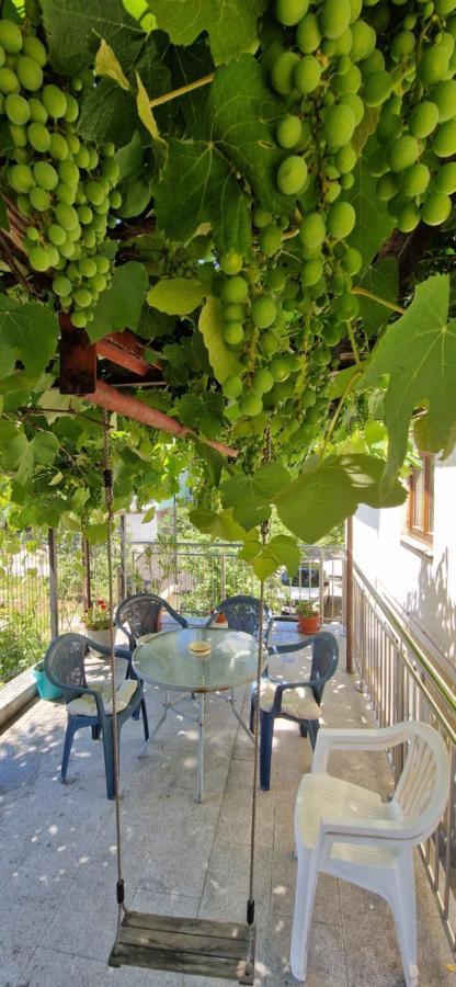 Family Apartment With Garden Sarajevo Eksteriør billede