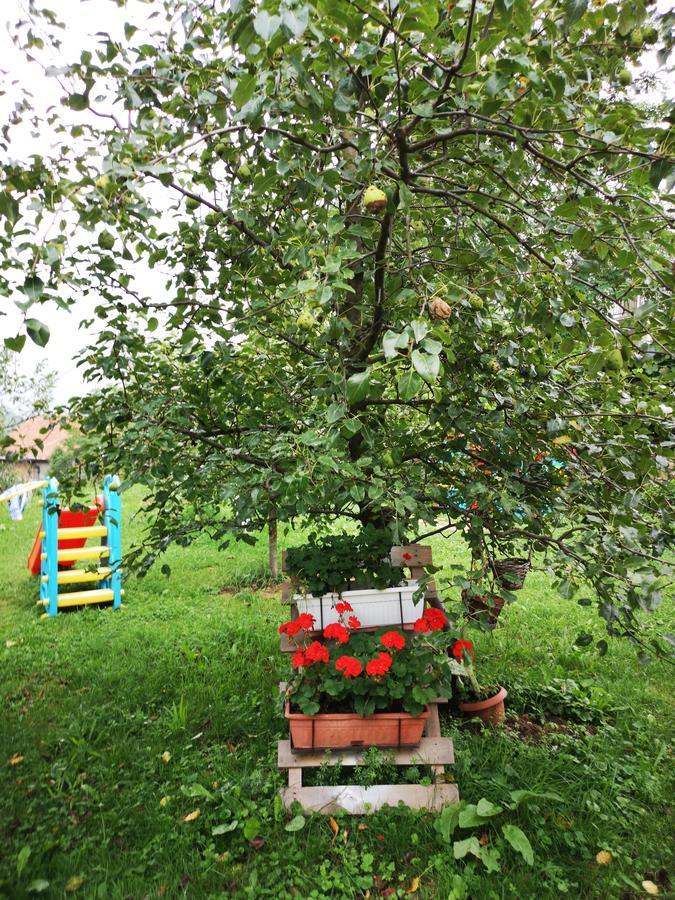 Family Apartment With Garden Sarajevo Eksteriør billede