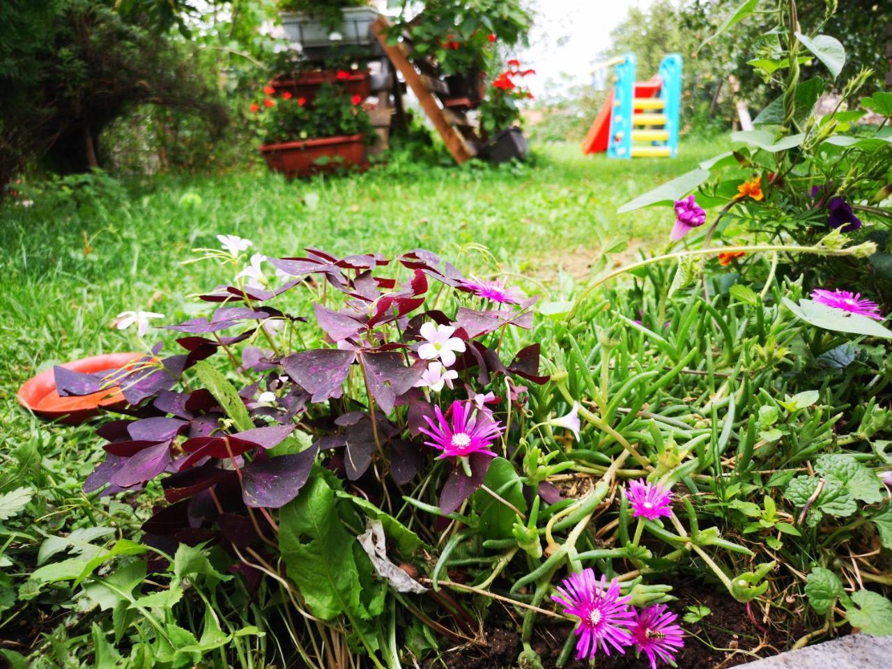 Family Apartment With Garden Sarajevo Eksteriør billede