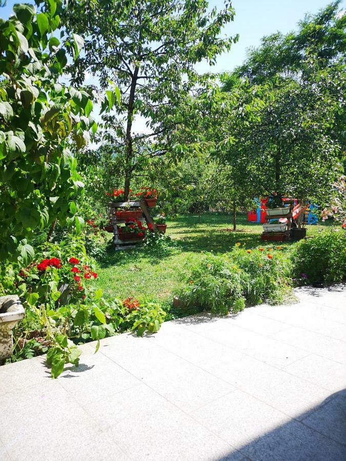 Family Apartment With Garden Sarajevo Eksteriør billede